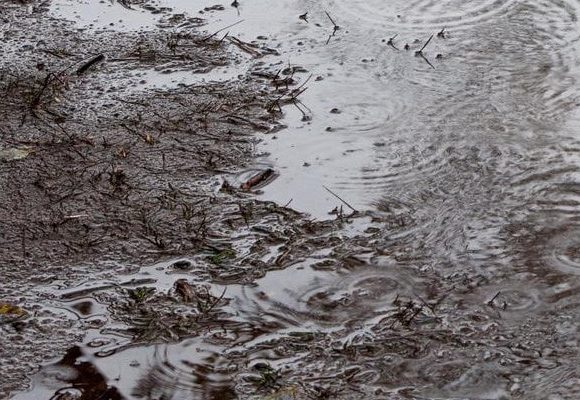 雨でぐじょぐじょになった地面