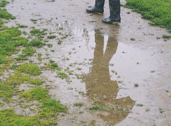 雨でぐちょぐちょになった道