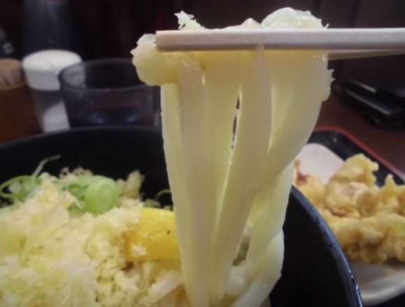 しこっとしたうどん