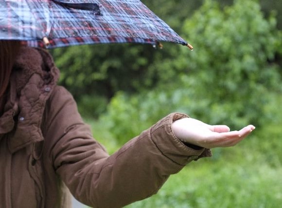 じとじとと雨が降る