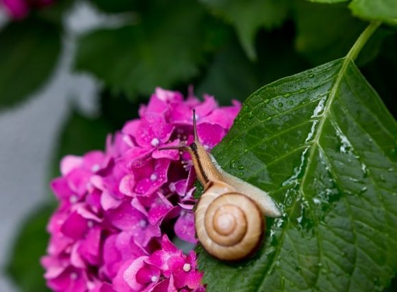 じとっとする梅雨